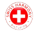 ibrahim niloy website audit for seo for Swiss-Harmony